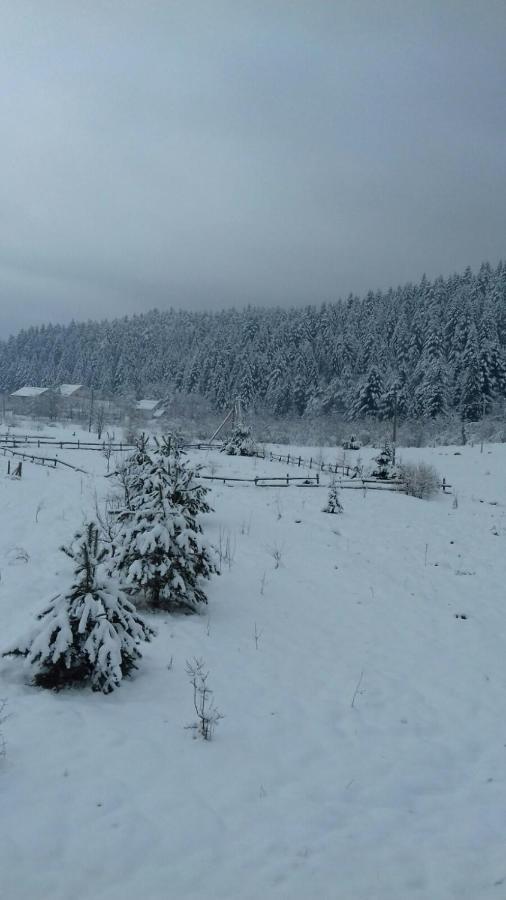 Котедж “Гуркало" Korchin Exterior photo